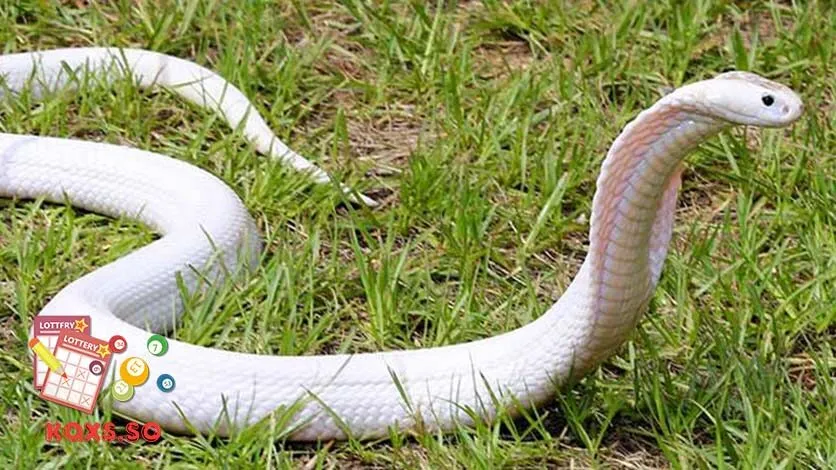 Mơ thấy rắn đánh con gì? Giải mã điềm báo và con số may mắn