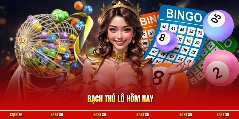 Bạch thủ lô hôm nay