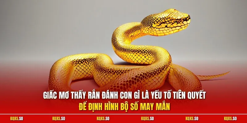 Giấc mơ thấy rắn đánh con gì là yếu tố tiên quyết để định hình bộ số may mắn