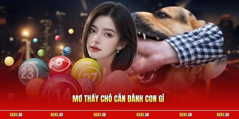 Mơ thấy nước đánh con gì