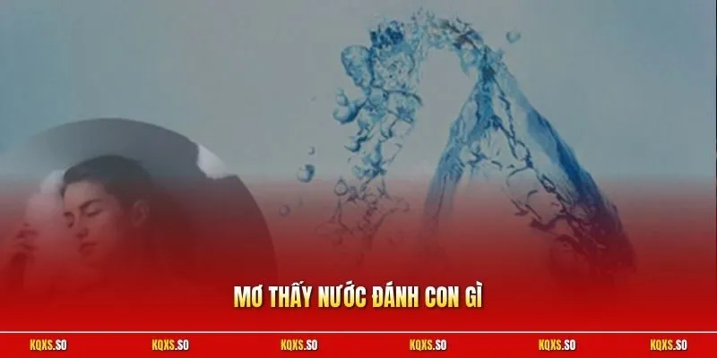 Mơ thấy nước đánh con gì