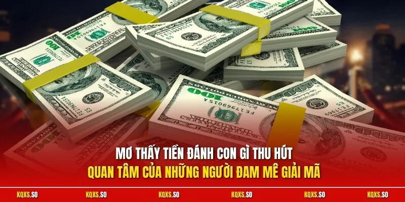 Mơ thấy tiền đánh con gì thu hút quan tâm của những người đam mê giải mã